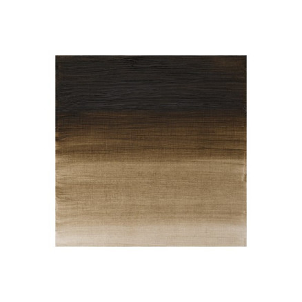 Artists Oil Colour 37ml Raw Umber  Green Shade 558