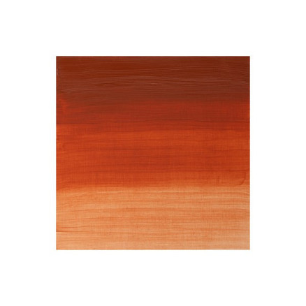 Artists Oil Colour 37ml Transp  Red Ochre 647