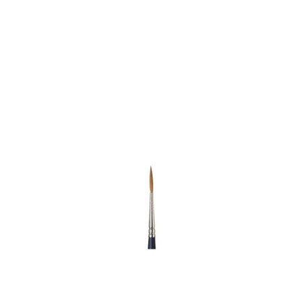 Artists Watercolour Brush Sable Rigger
