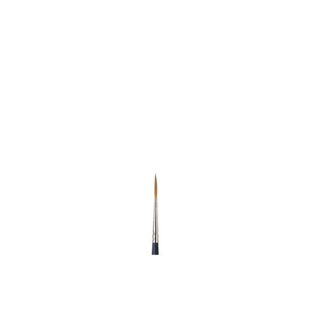 Artists Watercolour Brush Sable Rigger