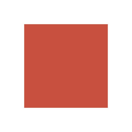 Brush Marker Burnt Orange R946