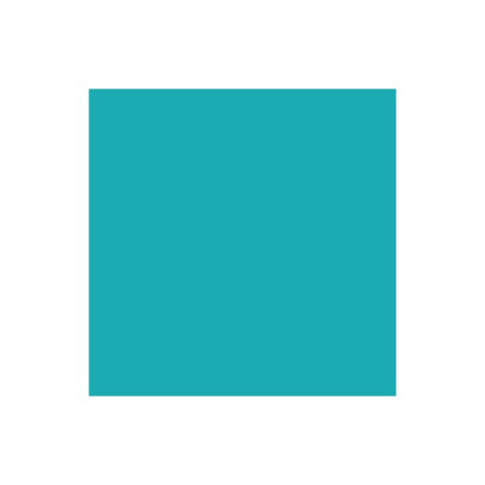 Brush Marker Turquoise C247