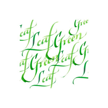 Calligraphy Ink 30ml Leaf Green 341