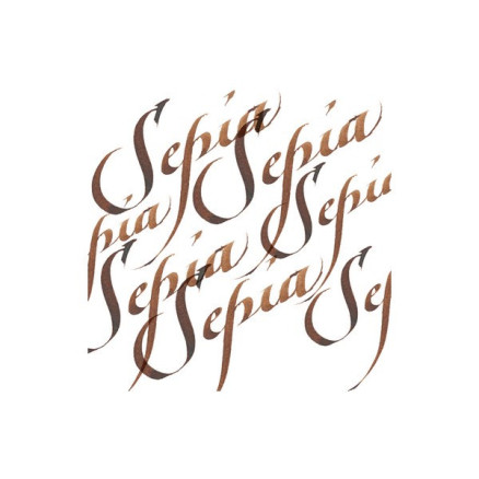 Calligraphy Ink 30ml Sepia 609