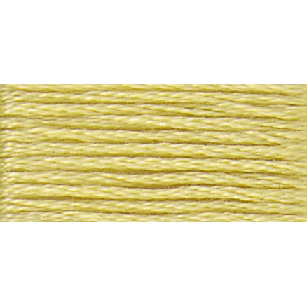 Dmc Mouliné Spécial 25 Broderigarn 17 Havre