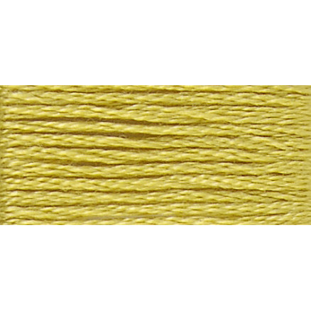 Dmc Mouliné Spécial 25 Broderigarn 18 Mirabel