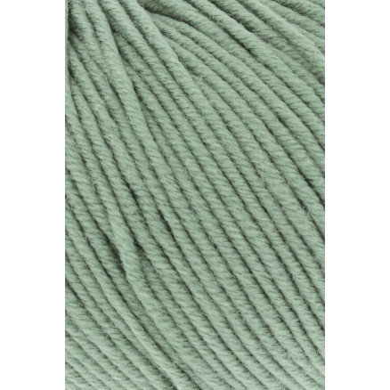 Lang Yarns Merino 120 Garn 91 Salvie