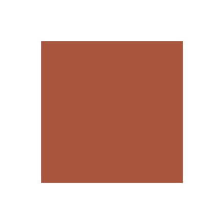 Promarker Burnt Umber R646