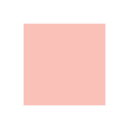 Promarker Pastel Pink R738