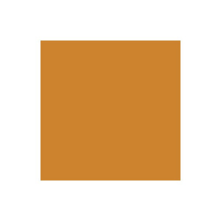Promarker Raw Sienna O646