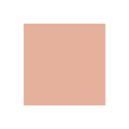 Promarker Tan O528