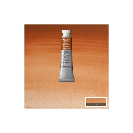 Watercolour Proff  5ml Magnesium Brown 381