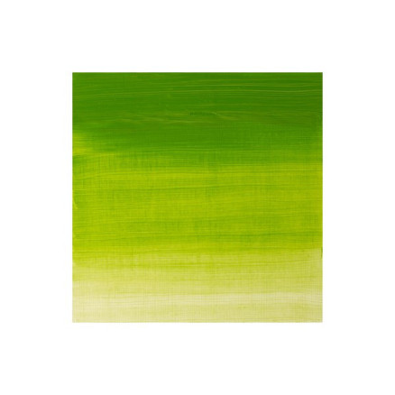 Winton Oil 37ml Chrome Green Hue 145
