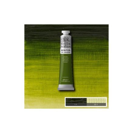 Winton Oil 200ml Sap Green 599