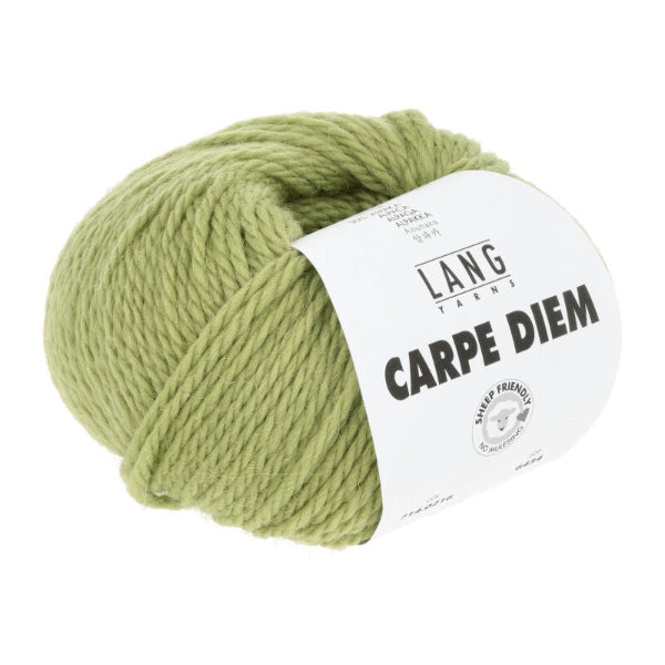Lang Yarns Carpe Diem Matcha 216