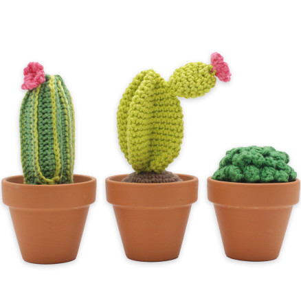 Lav Selv Diy Sæt Cacti Hækling