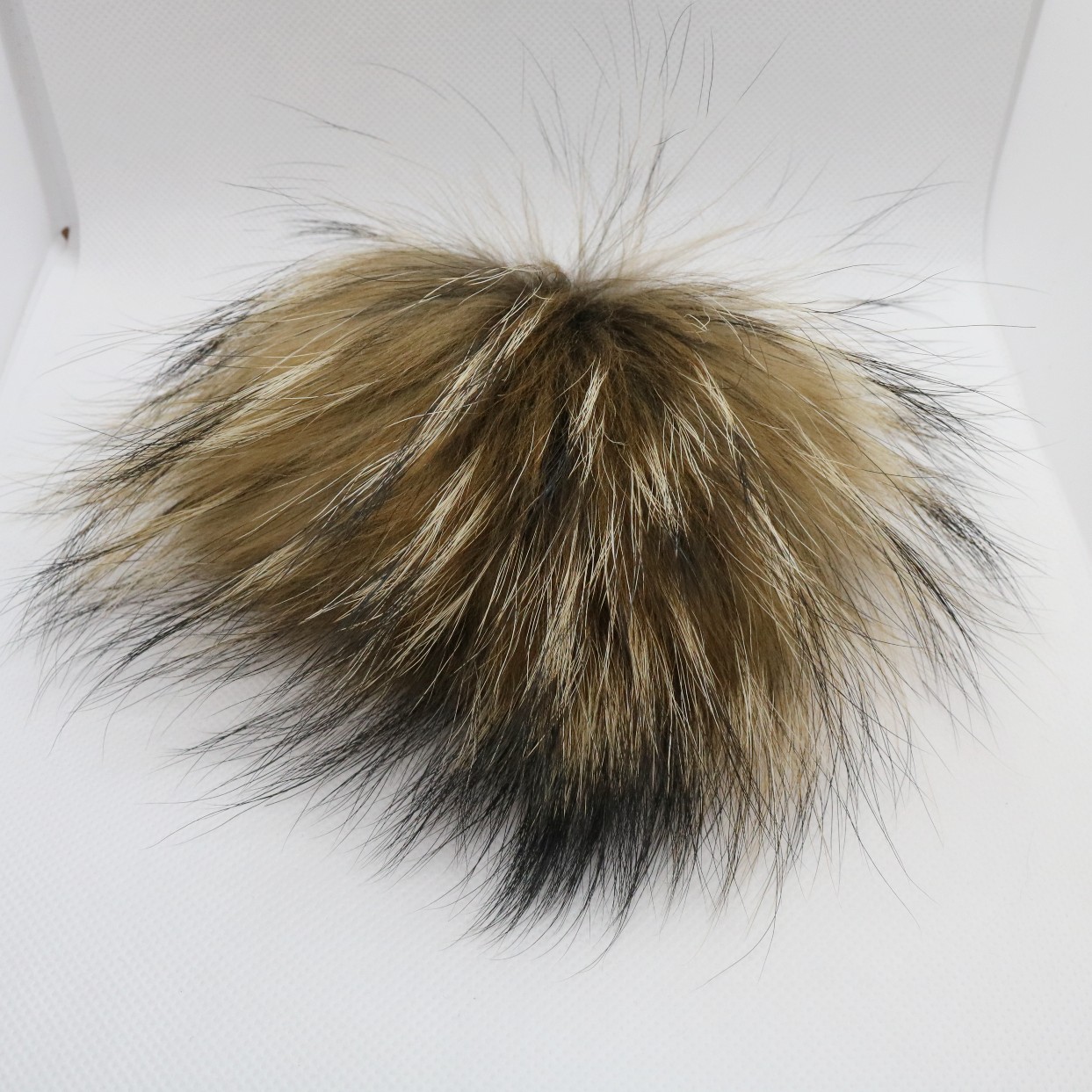Pompon   Tryklås  Mårhund  11-14 Cm  Lys Brun